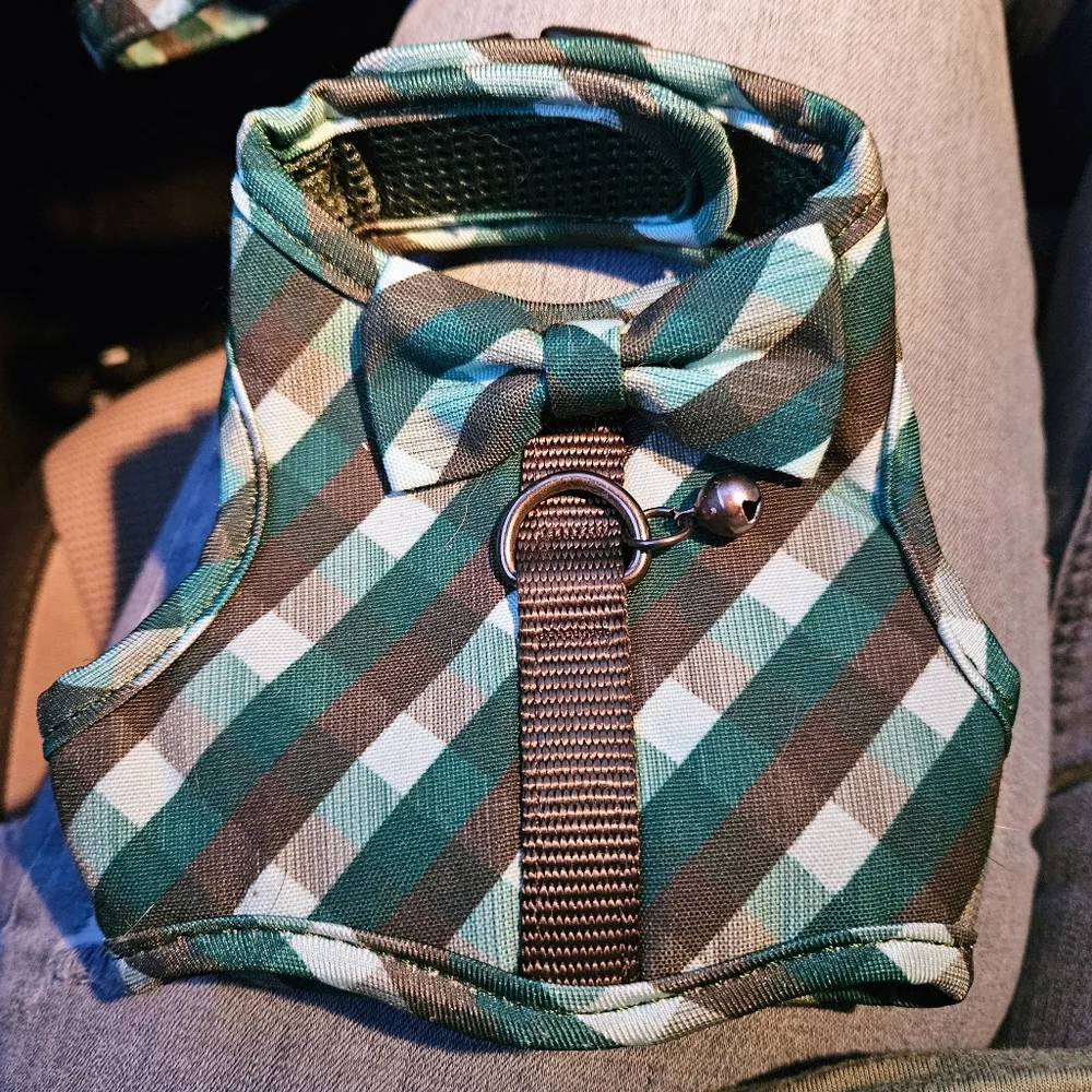 Whisker City Kitten Harness and Leash